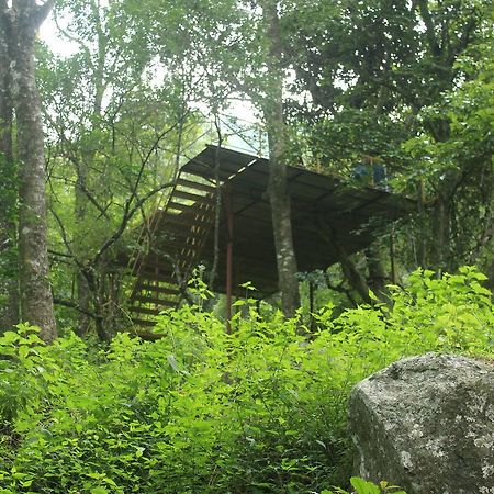 Secret Valley Jungle Resort Ooty Exterior foto