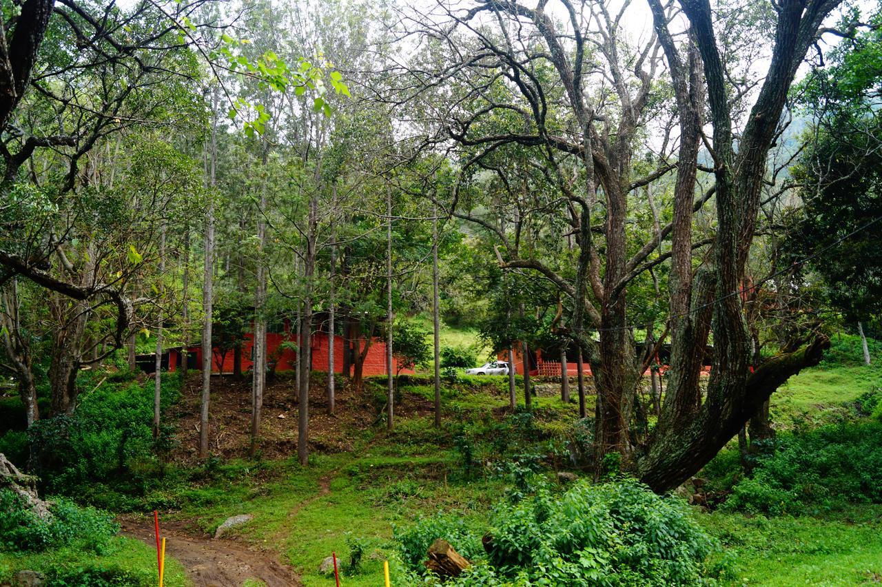 Secret Valley Jungle Resort Ooty Exterior foto
