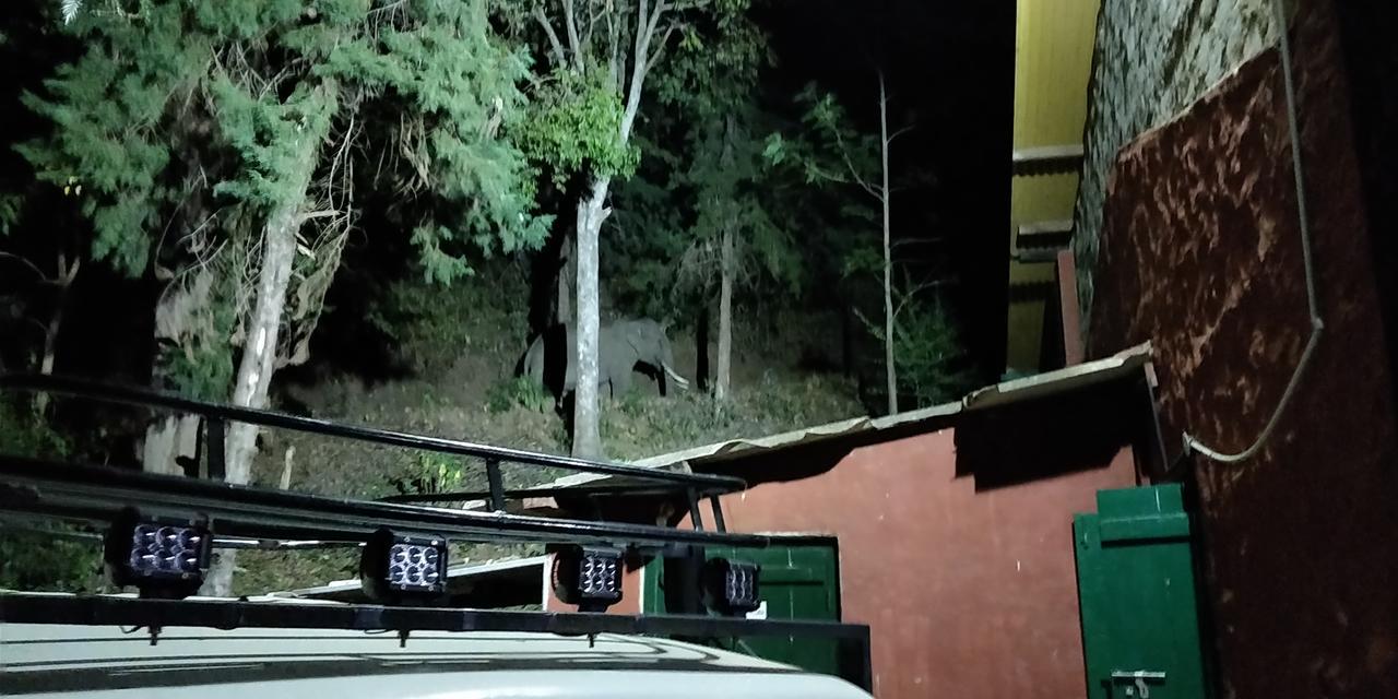 Secret Valley Jungle Resort Ooty Exterior foto